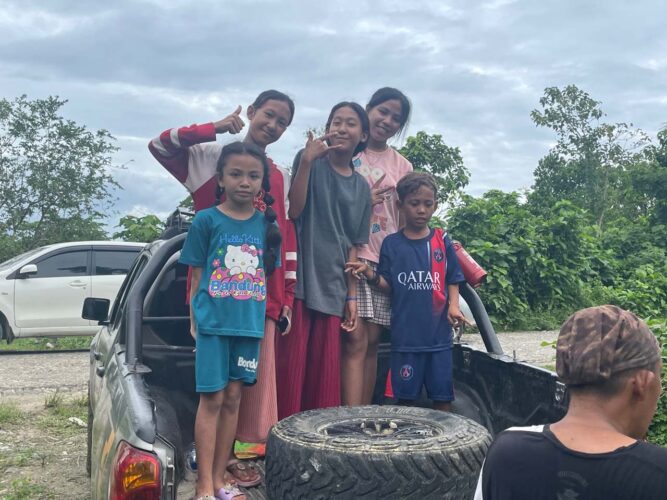 After the Wallace's Standardwing